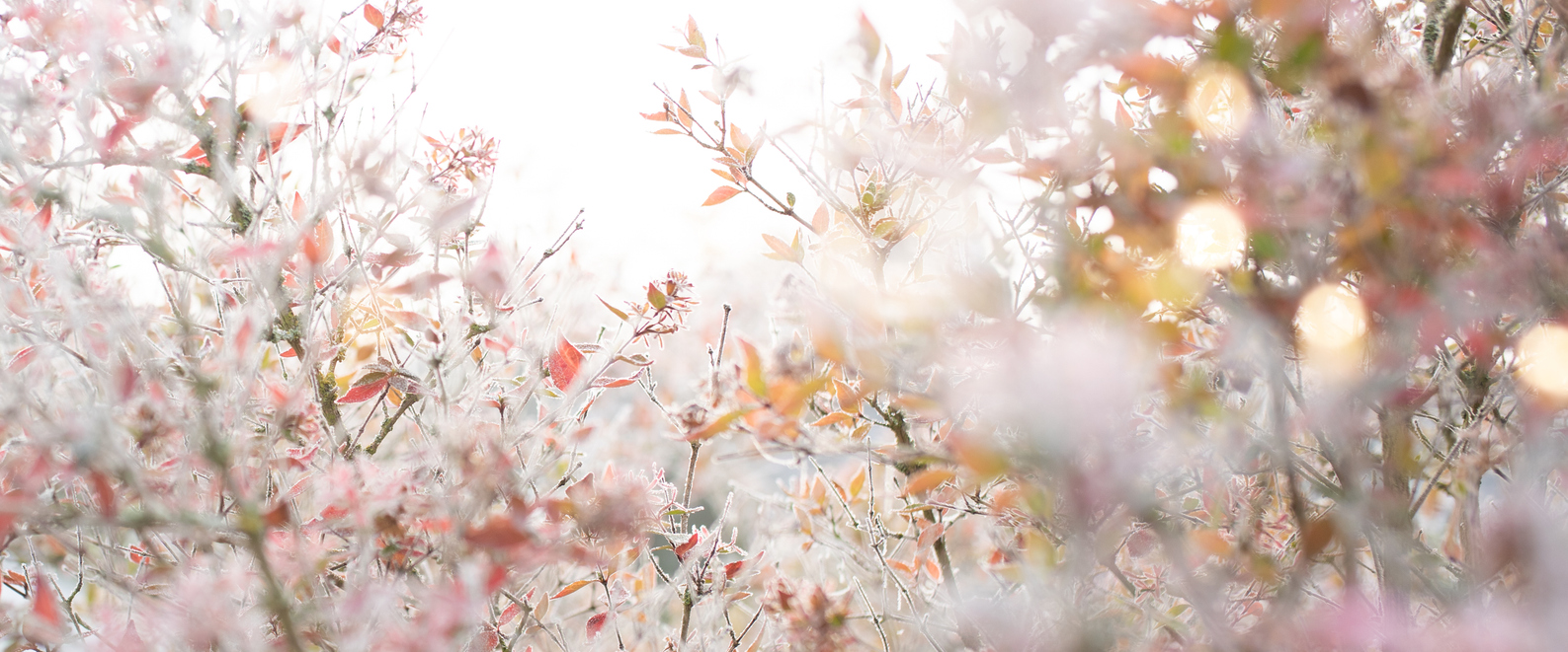 iStock 1193066960